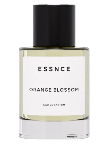 Orange Blossom - شکوفه اورنج