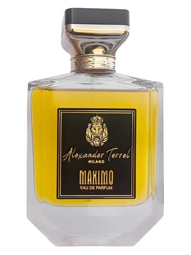 MAXIMO - ماکسیمو