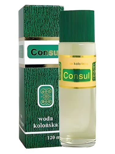 Consul - کنسول