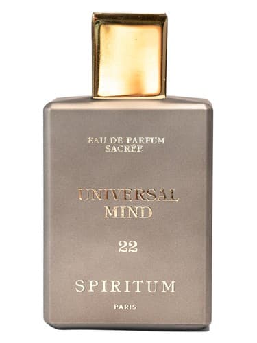 22 Universal Mind