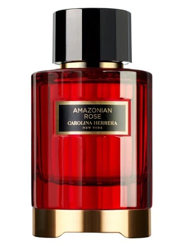Amazonian Rose - آمازونیان رز
