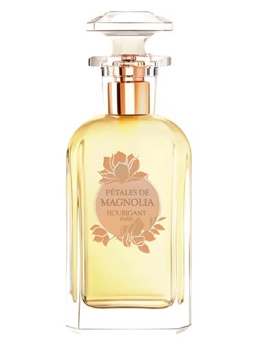 Pétales de Magnolia - پتال دو مگنولیا
