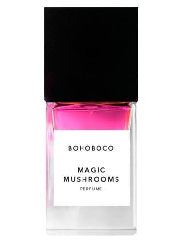 Magic Mushrooms - مجیک ماشرومز