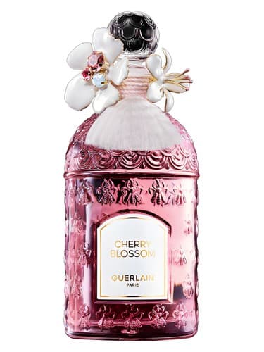 Cherry Blossom Millésime 2024 