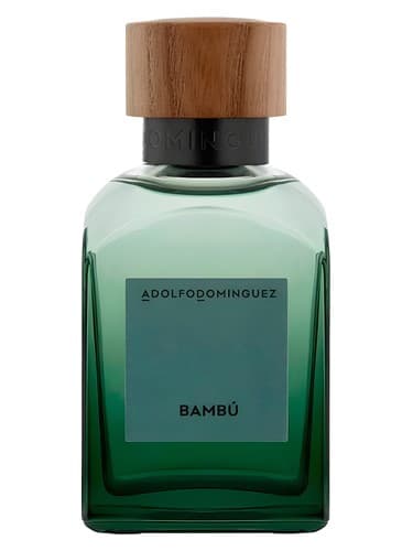 Bambú 2024