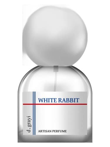 White Rabbit - وایت ربیت
