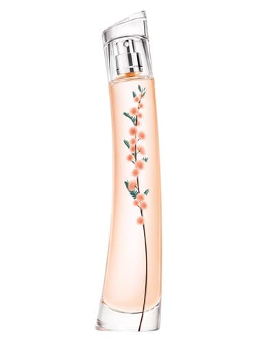 Flower Ikebana Mimosa - فلاور ایکبانا میموزا