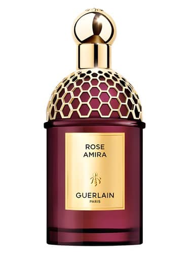 Rose Amira - رز امیرا