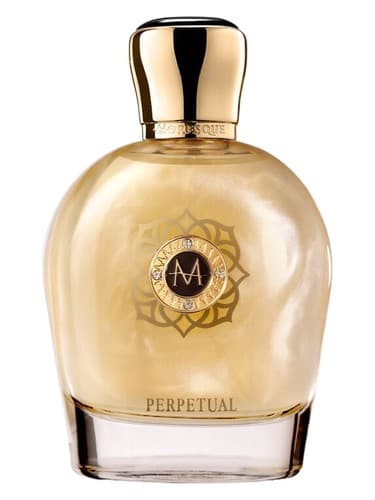 Perpetual - پرپچوال