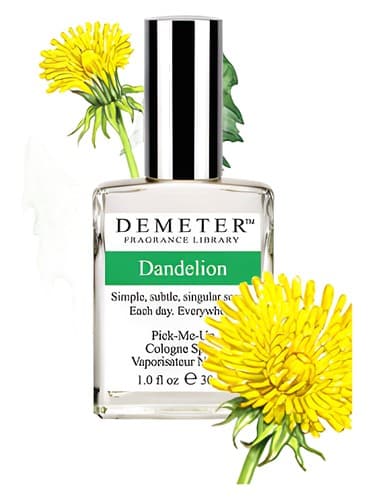 Dandelion - دندلاین