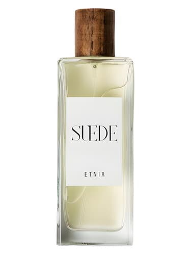 Suede - جیر