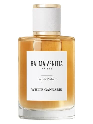 White Cannabis - شاهدانه وایت