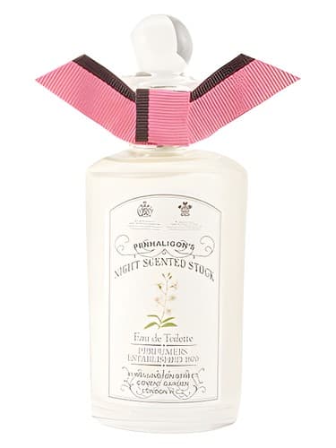 Night Scented Stock - نایت سنتد استاک