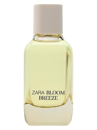 Bloom Breeze - نسیم شکوفه