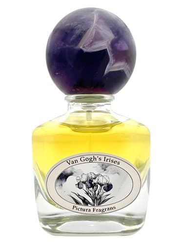 Van Gogh’s Irises - ون گوگس ایریسز