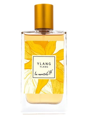 Ylang Ylang - یلانگ یلانگ