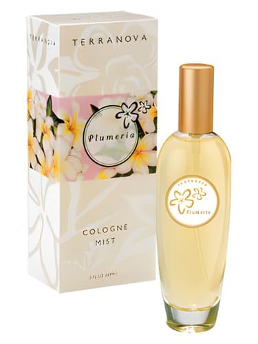 Plumeria - پلومریا