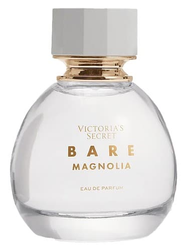 Bare Magnolia - بر مگنولیا