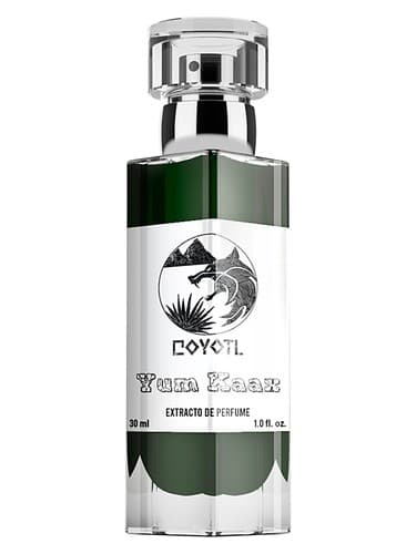Yum Kaax - یام کاکس