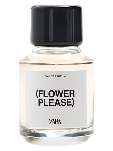 (Flower Please) - (فلاور پلیز)
