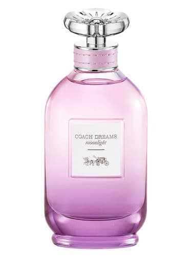 Coach Dreams Moonlight - کوچ دریمز مون لایت