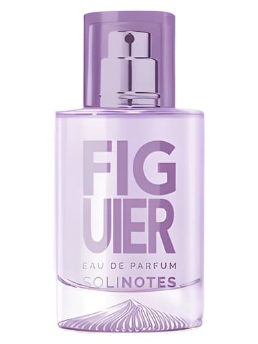 Figuier - فیگویر