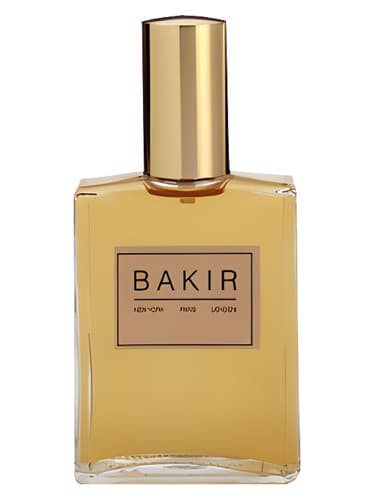 Bakir
