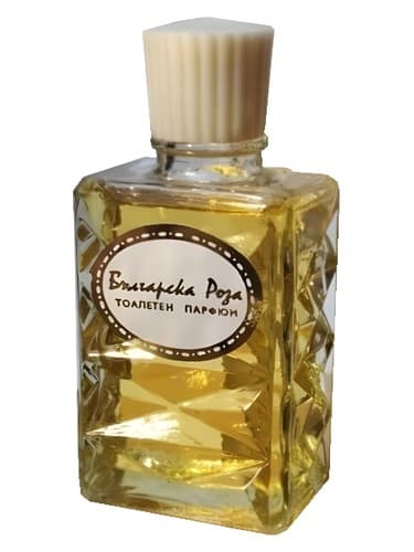 Болгарская роза (Bulgarian Rose) - رز بلغاری (Bulgarskaya Rosa)