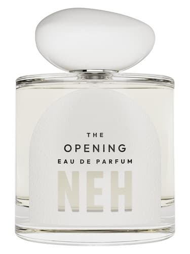 The Opening