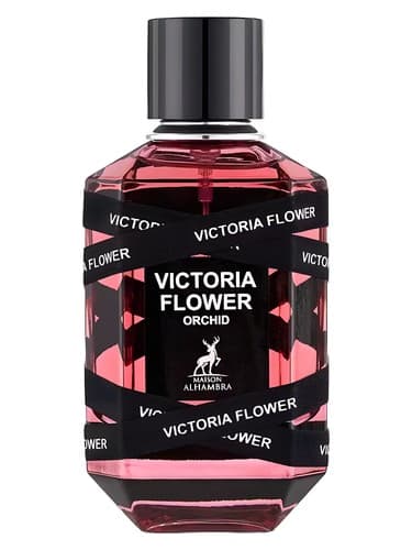 Victoria Flower Orchid - ویکتوریا فلاور ارکید