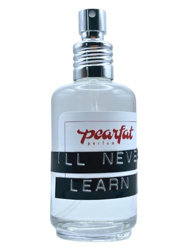I'll Never Learn - آیل نور لرن