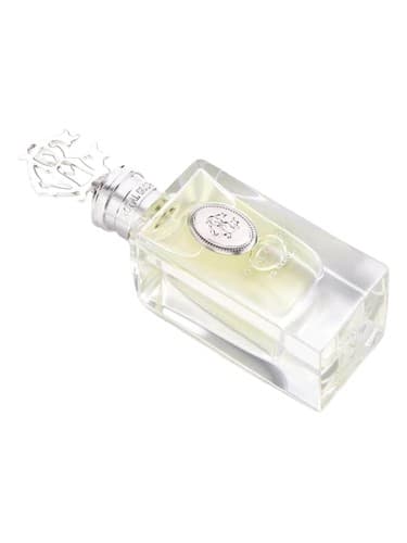 RG Neroli - آر جی نرولی