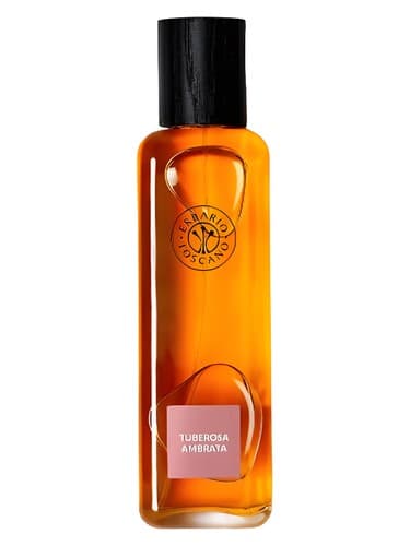 Tuberosa Ambrata - توبروسا آمبراتا