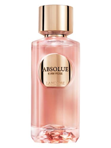 Absolue 6AM Rose - ابسولو 6 ای ام رز