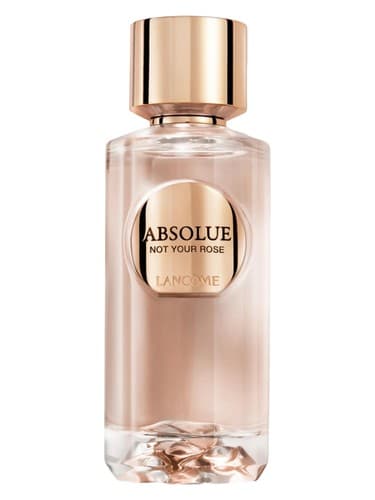 Absolue Not Your Rose - مطلق گل رز شما نیست