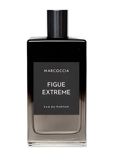 Figue Extreme - شکل افراطی