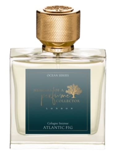 Atlantic Fig