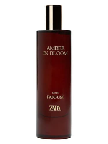 Amber In Bloom