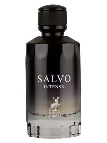 Salvo Intense - سالوو اینتنس