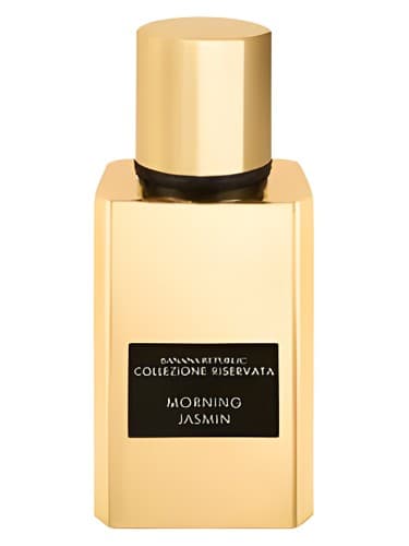 Morning Jasmine - صبح یاسمن
