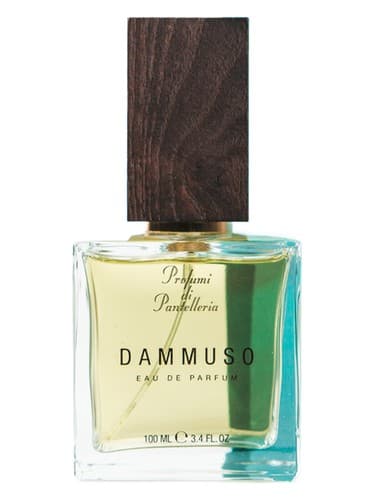 Dammuso - دامموسو