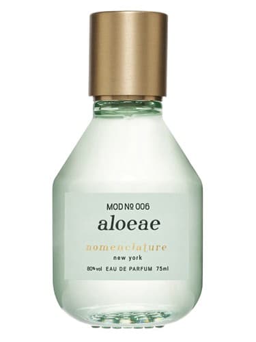 Aloeae