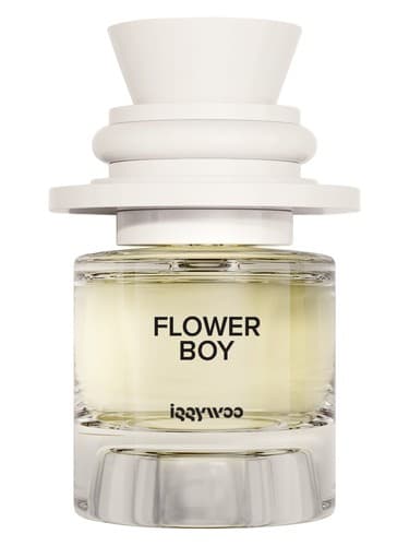 Flower Boy - پسر گل
