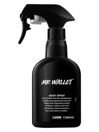 Mr Wallet - آقای کیف پول