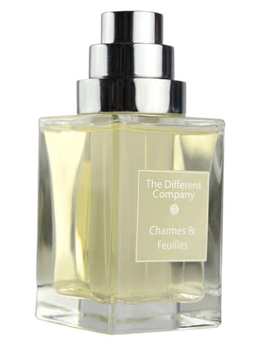 Charmes et Feuilles - چارمز ات فویلز