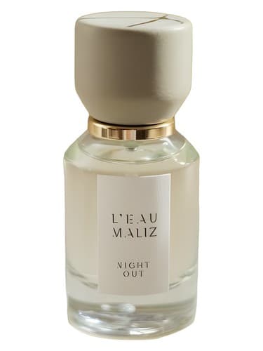 Night Out