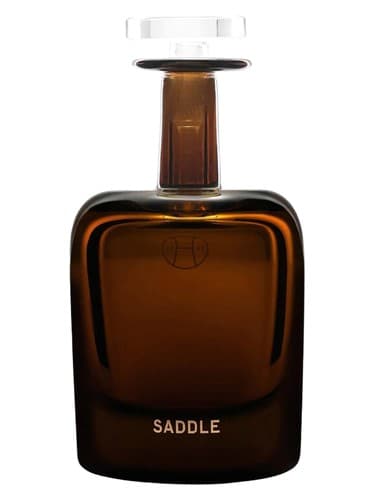 Saddle - زین