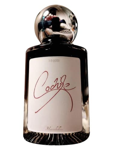 Cochise - کوچیز