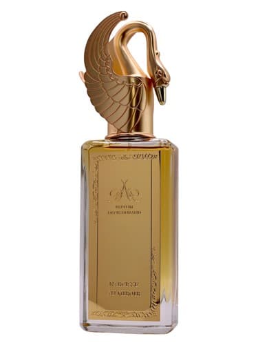 Narcisse au Miroir 