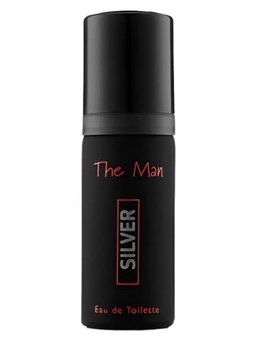 The Man Silver - من سیلور